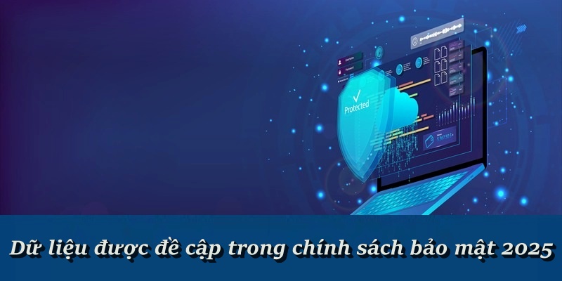 Dữ liệu được đề cập trong chính sách bảo mật 2025